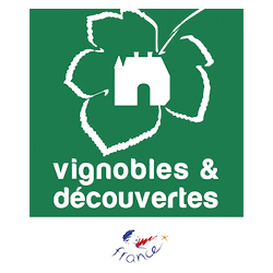 Vignoble & découvertes