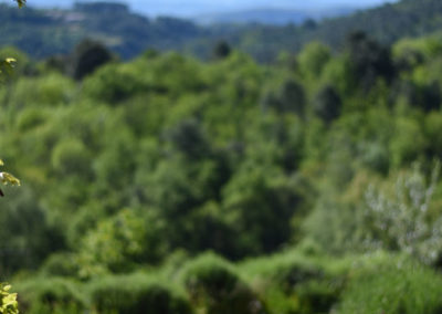 La Haute Maurelle⎥Gîte La Clède - La vue depuis la terrasse extérieure